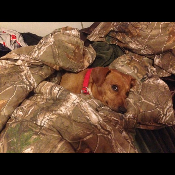 HELLO GORGEOUS! - Picture 6 of 14